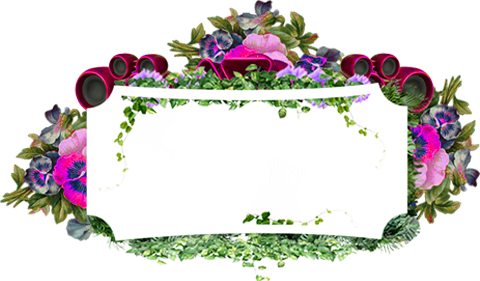 GP Logo
